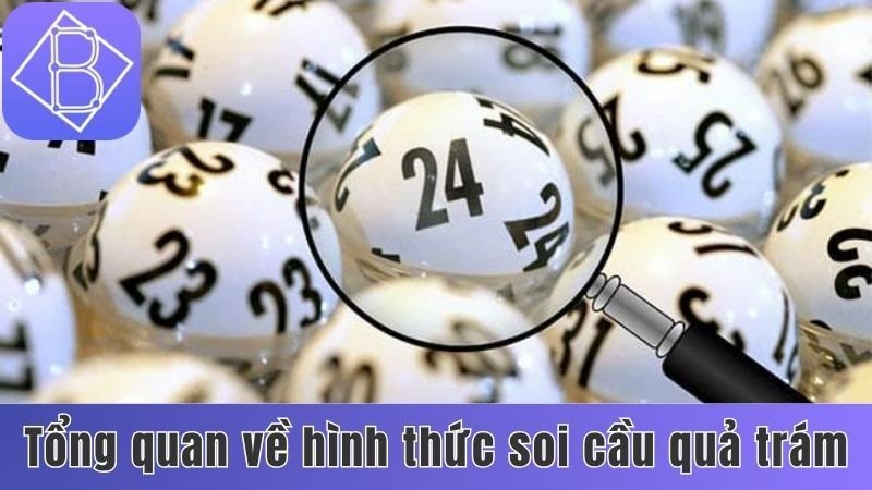 Tổng quan về hình thức soi cầu quả trám